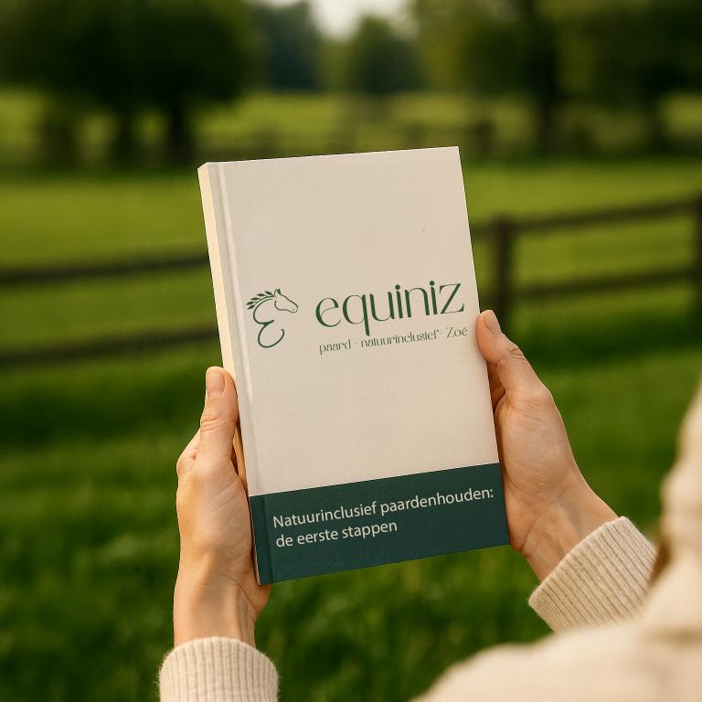e-book